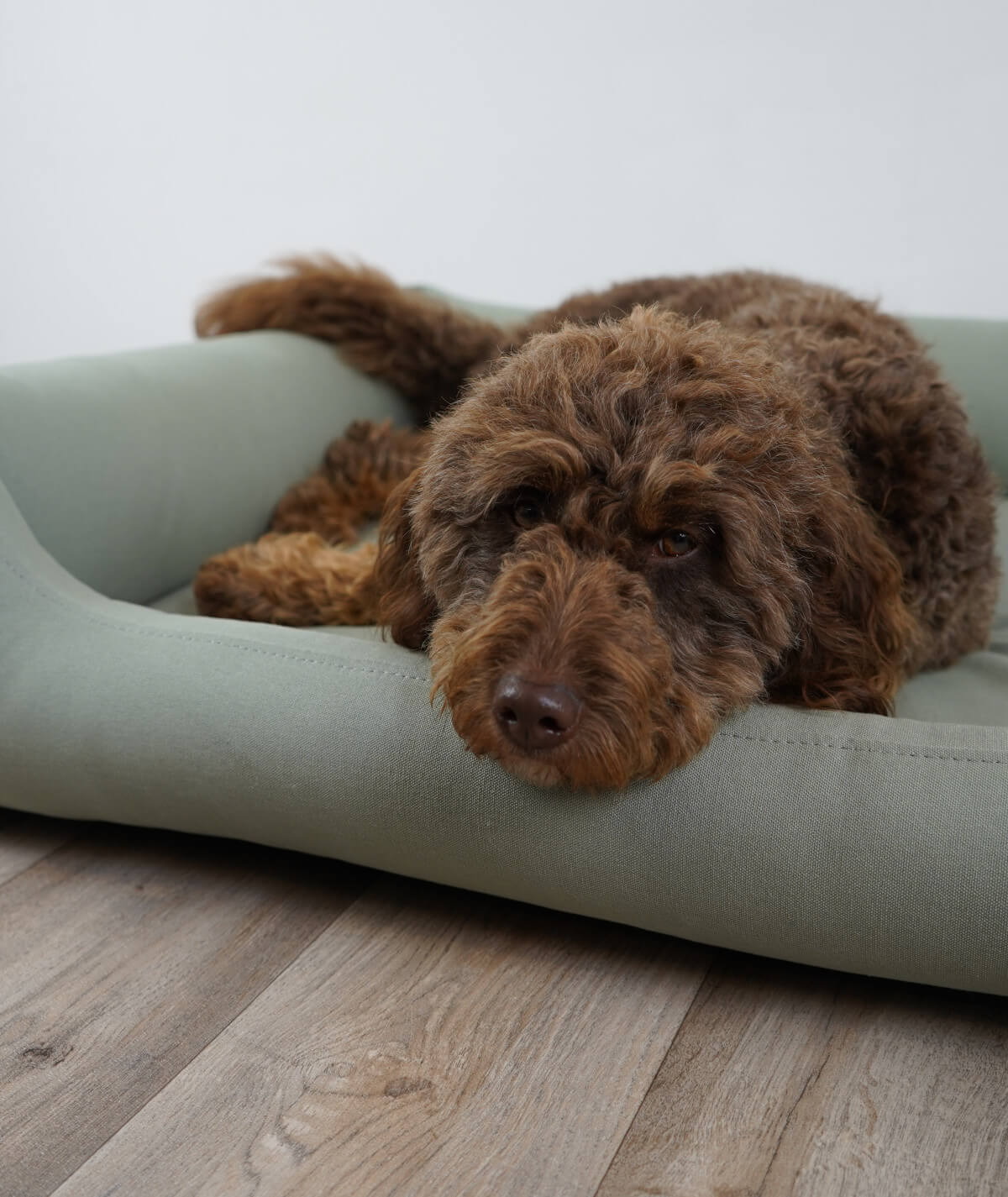 Dog bed cuddle bed deluxe cord with entry orthopedic