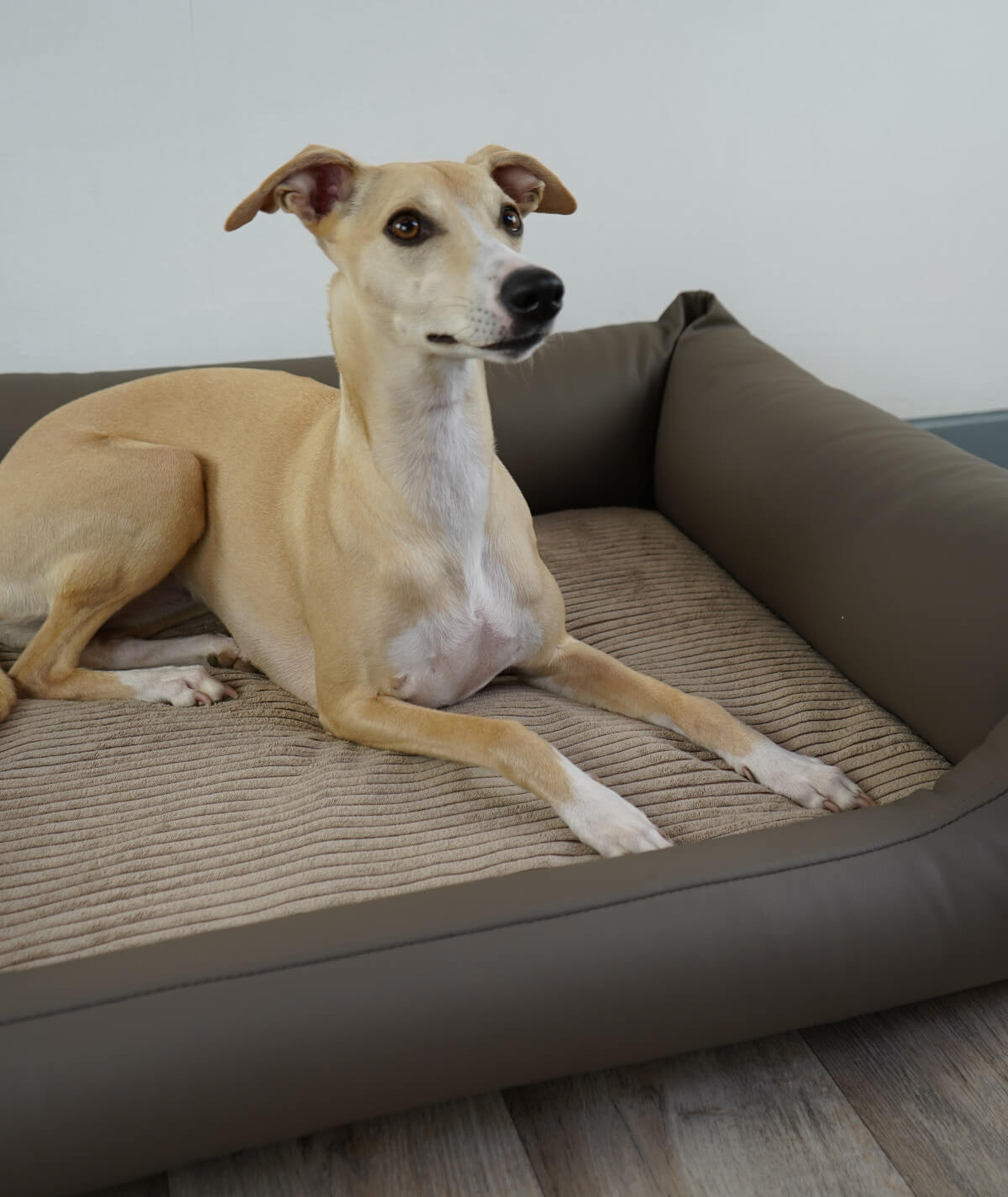 Hundebett Emma orthopädisch
