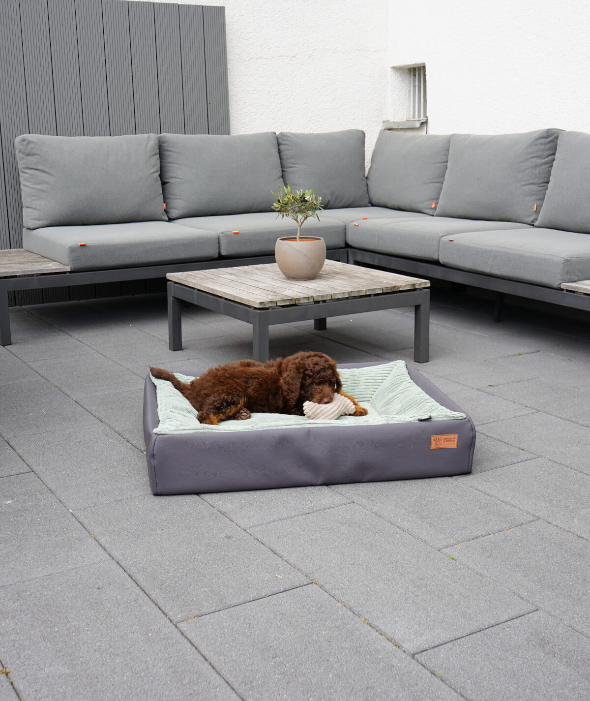 Orthopädisches Hundebett Lucy aus Kunstleder – pflegeleicht & robust