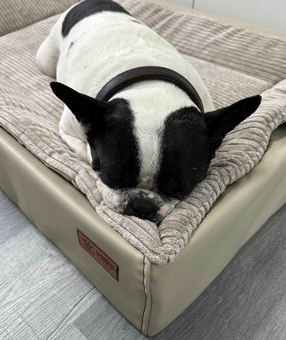 Inlay Hundedecke Cord für Hundebett Lucy