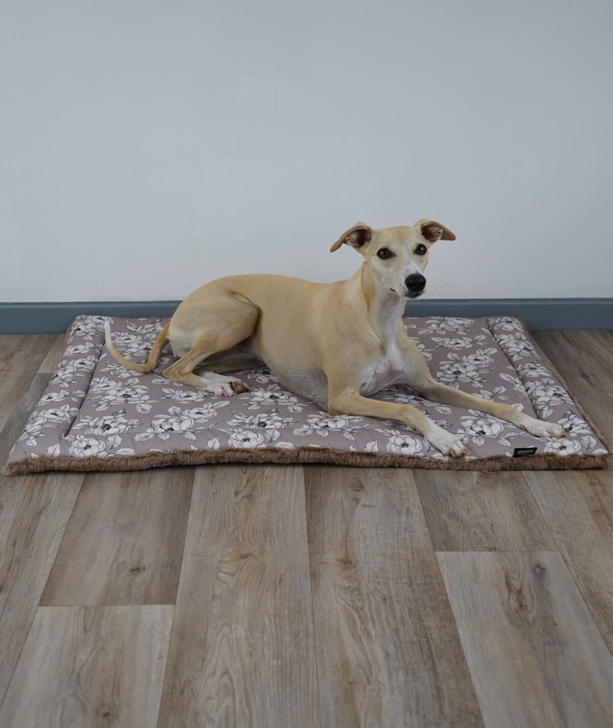 Allround Hundedecke Canvas & Exklusiv mit Füllung