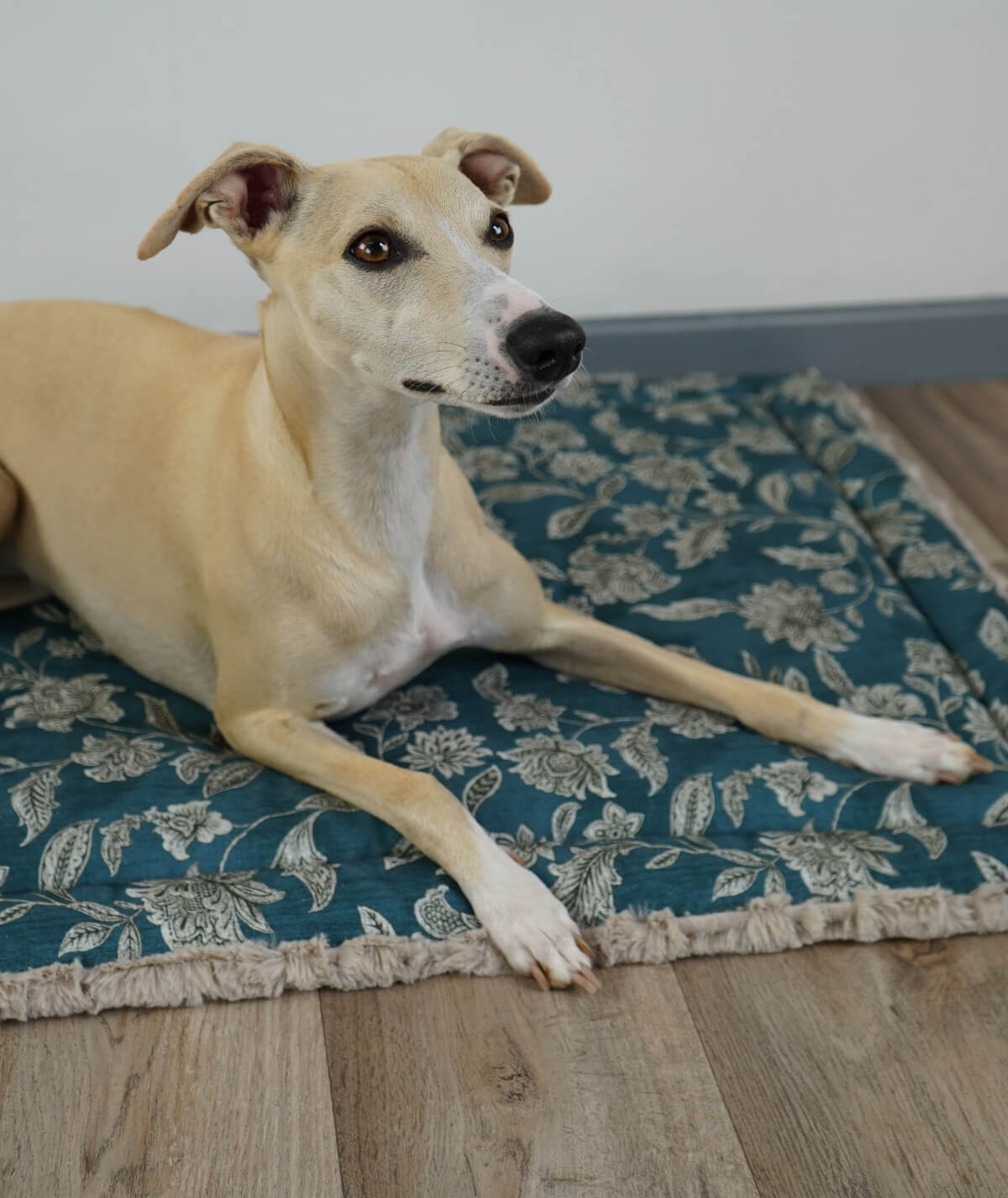Cotton summer blanket with filling