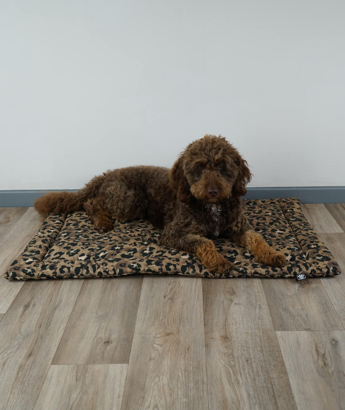 Couverture pour chien en corde avec rembourrage
