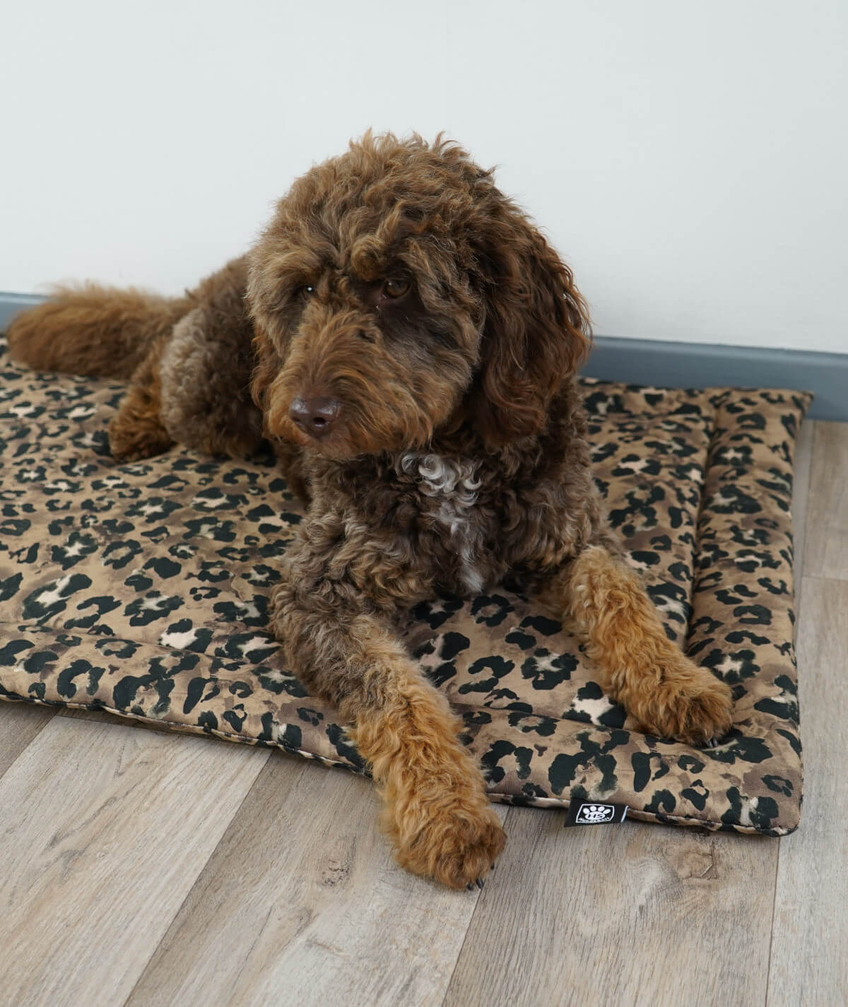 Couverture pour chien en corde avec rembourrage