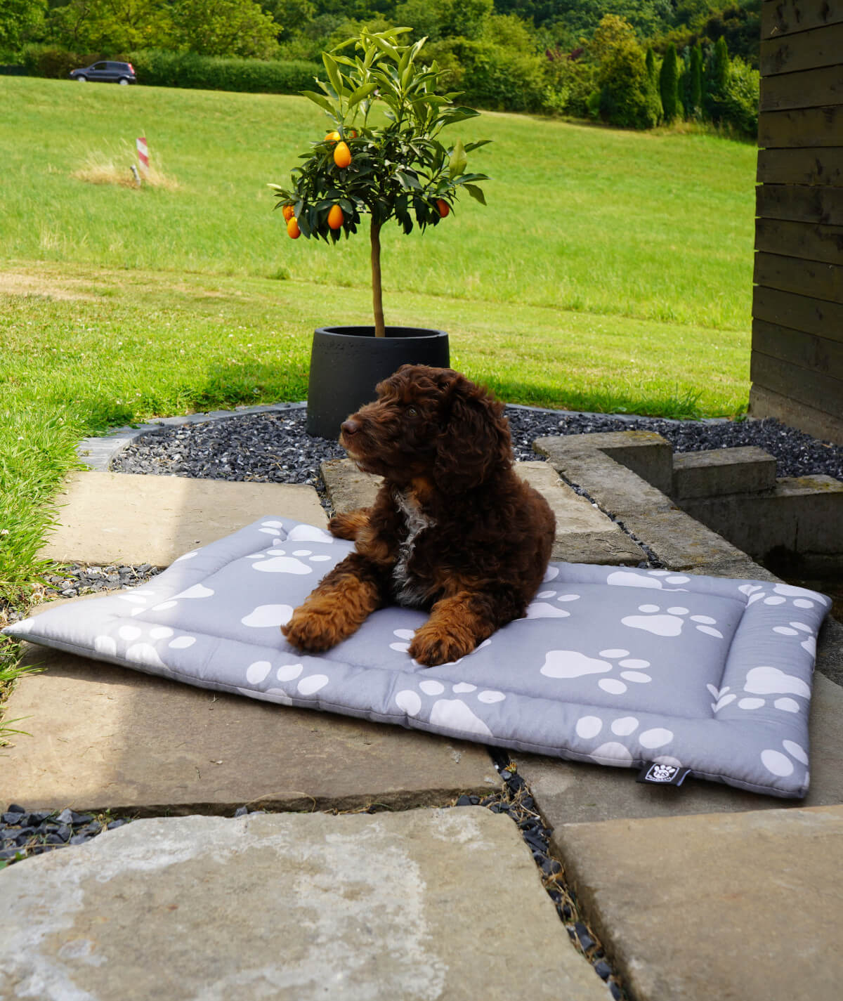 Cotton summer duvet with padding and anti-slip