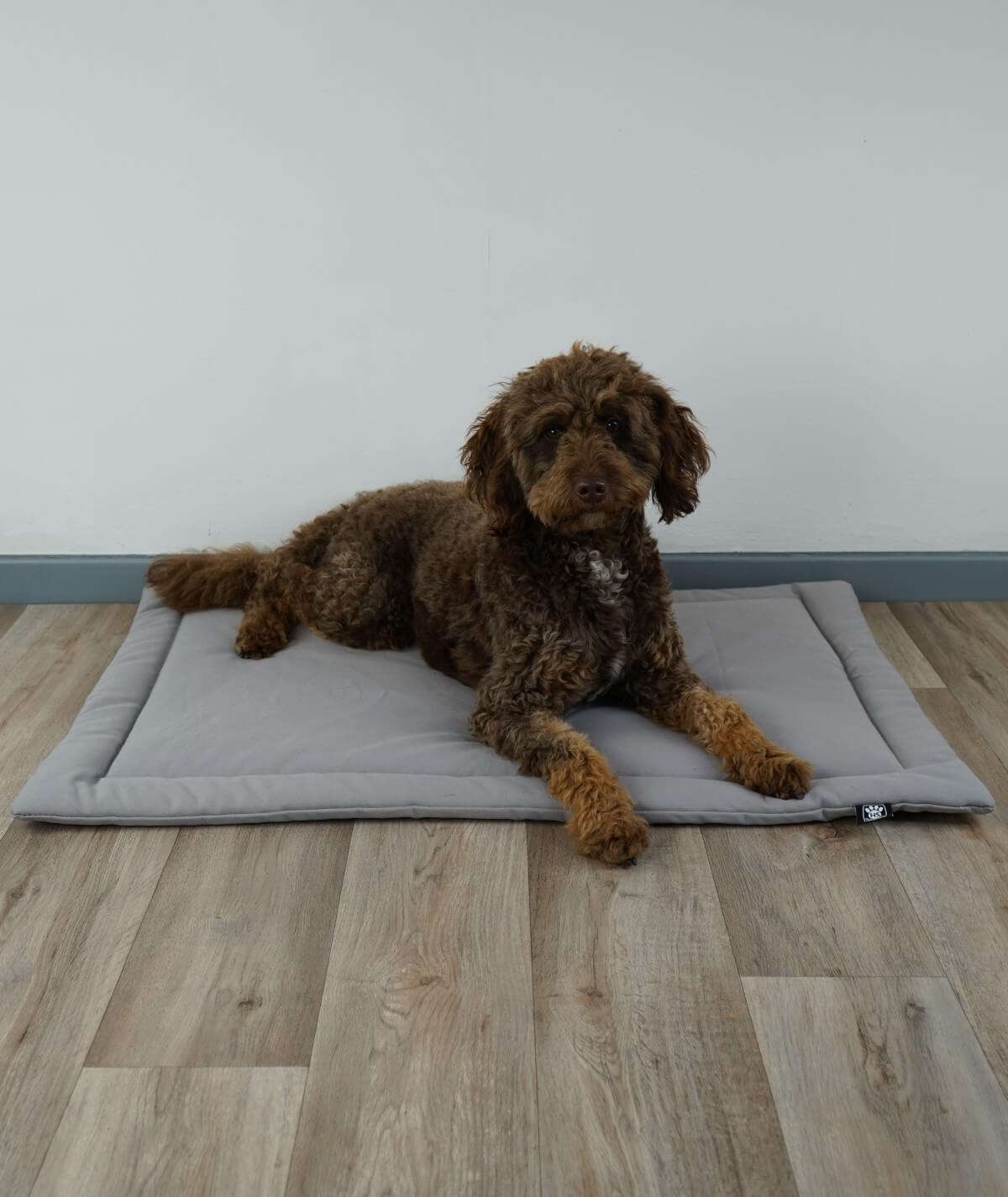 Couverture pour chien en corde avec rembourrage