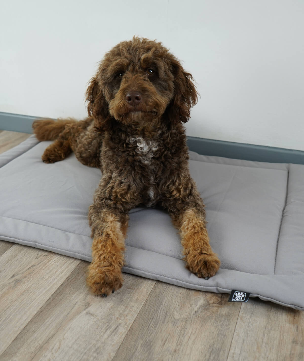 Couverture pour chien en corde avec rembourrage