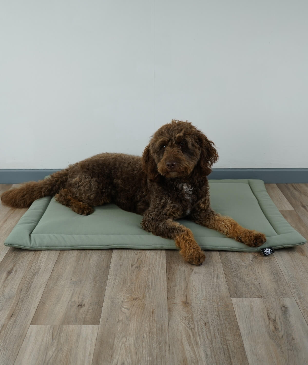 Couverture pour chien en corde avec rembourrage