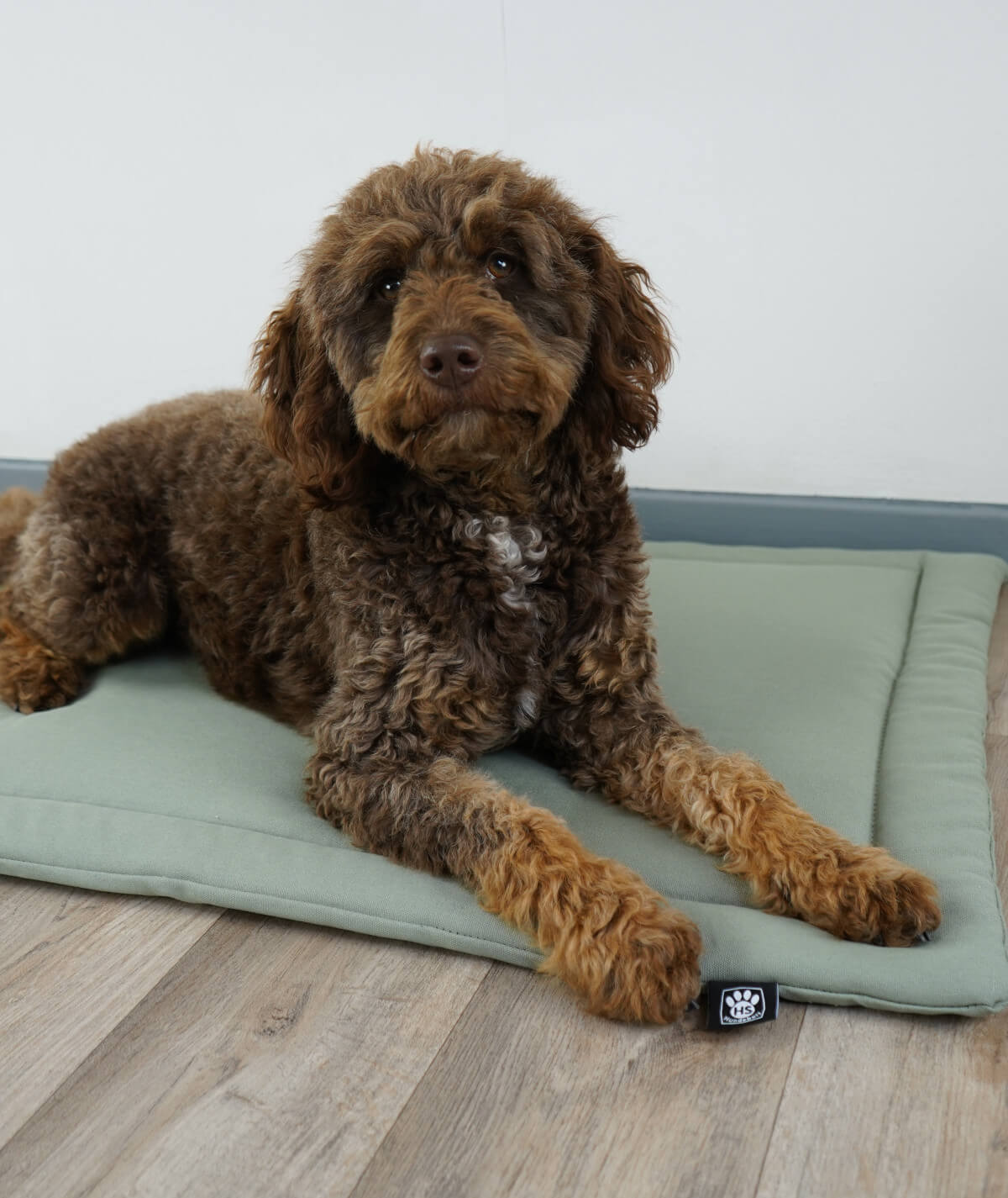 Couverture pour chien en corde avec rembourrage