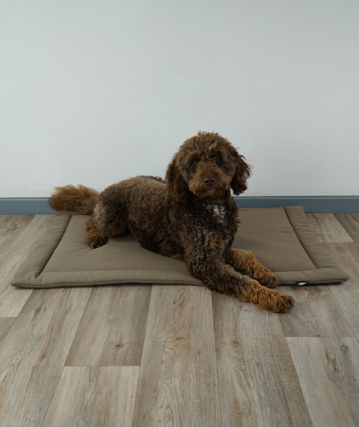 Couverture pour chien en corde avec rembourrage