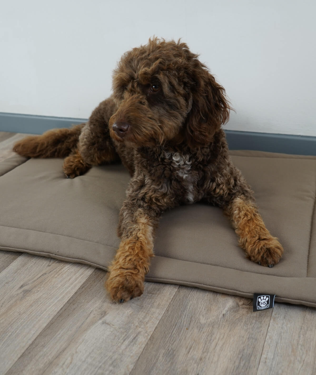 Couverture pour chien en corde avec rembourrage