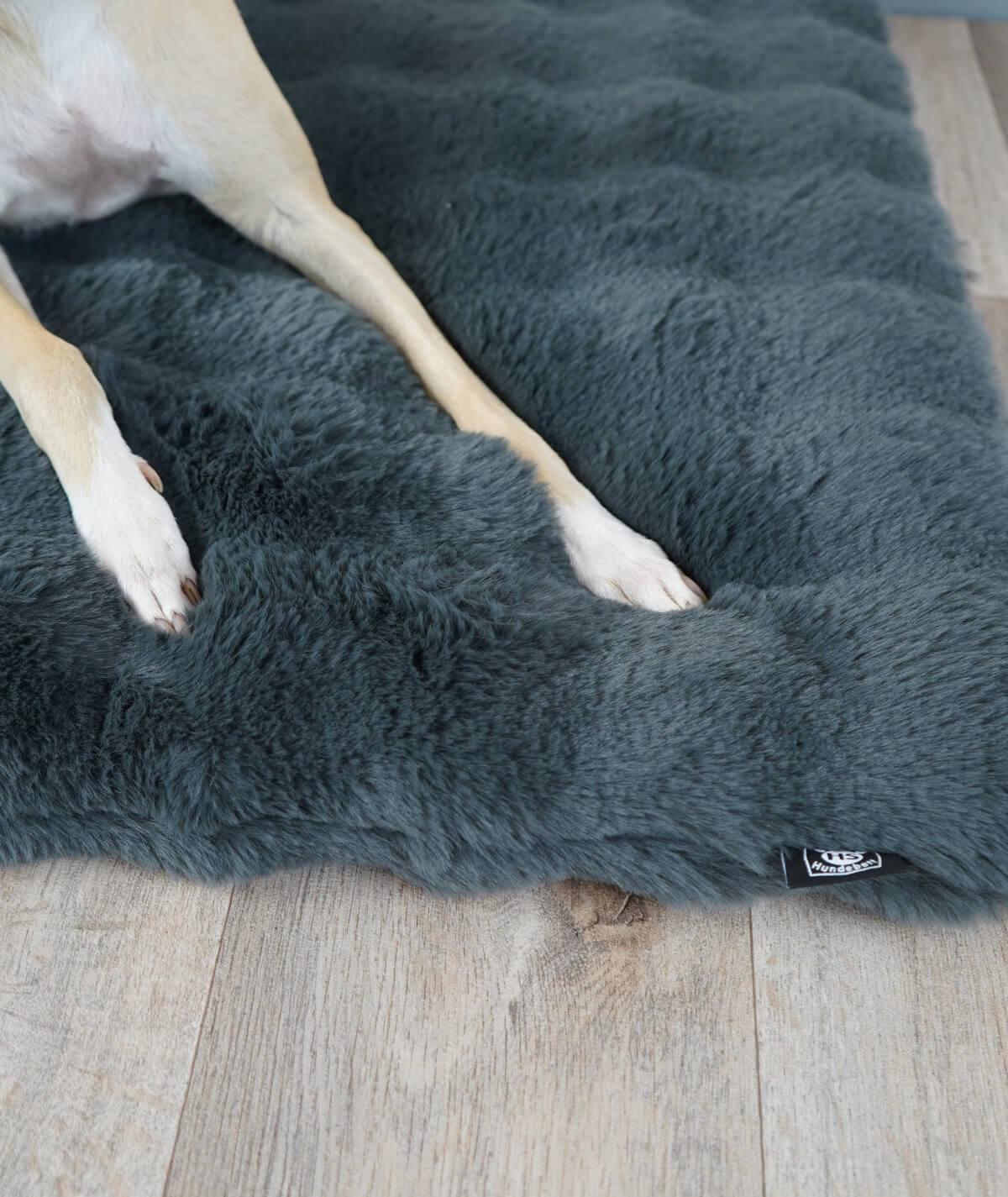 Dog blanket cord with filling