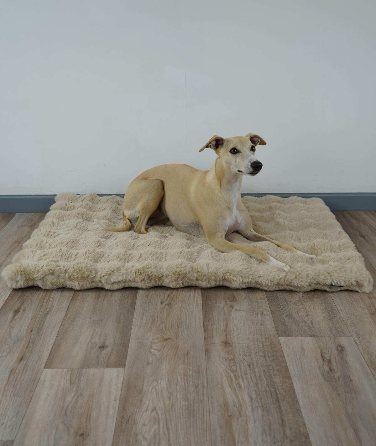 Dog blanket cord with filling
