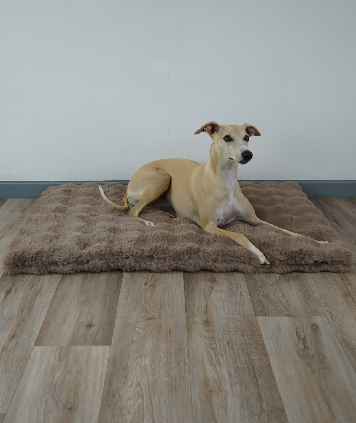 Dog blanket cord with filling