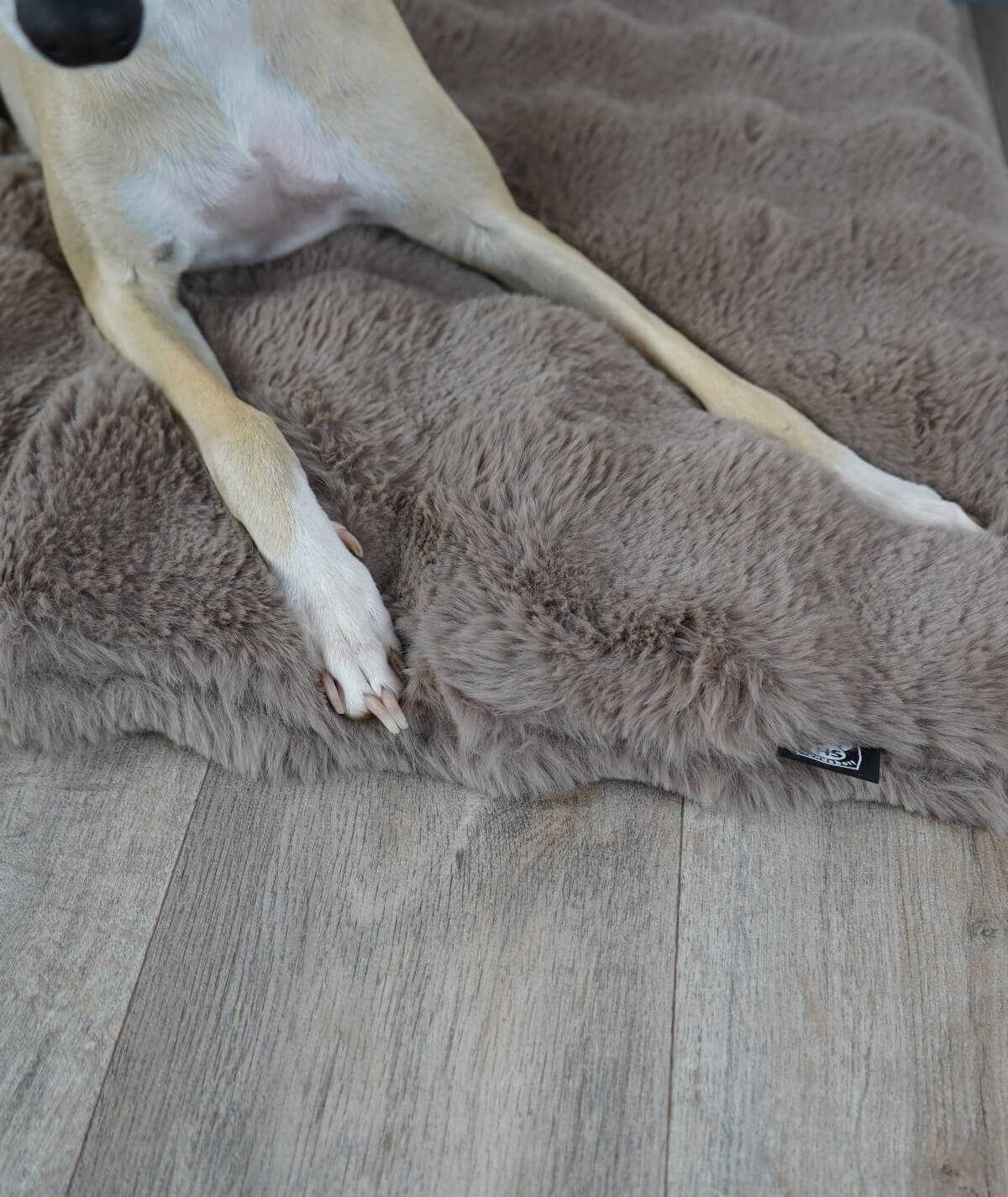 Dog blanket cord with filling