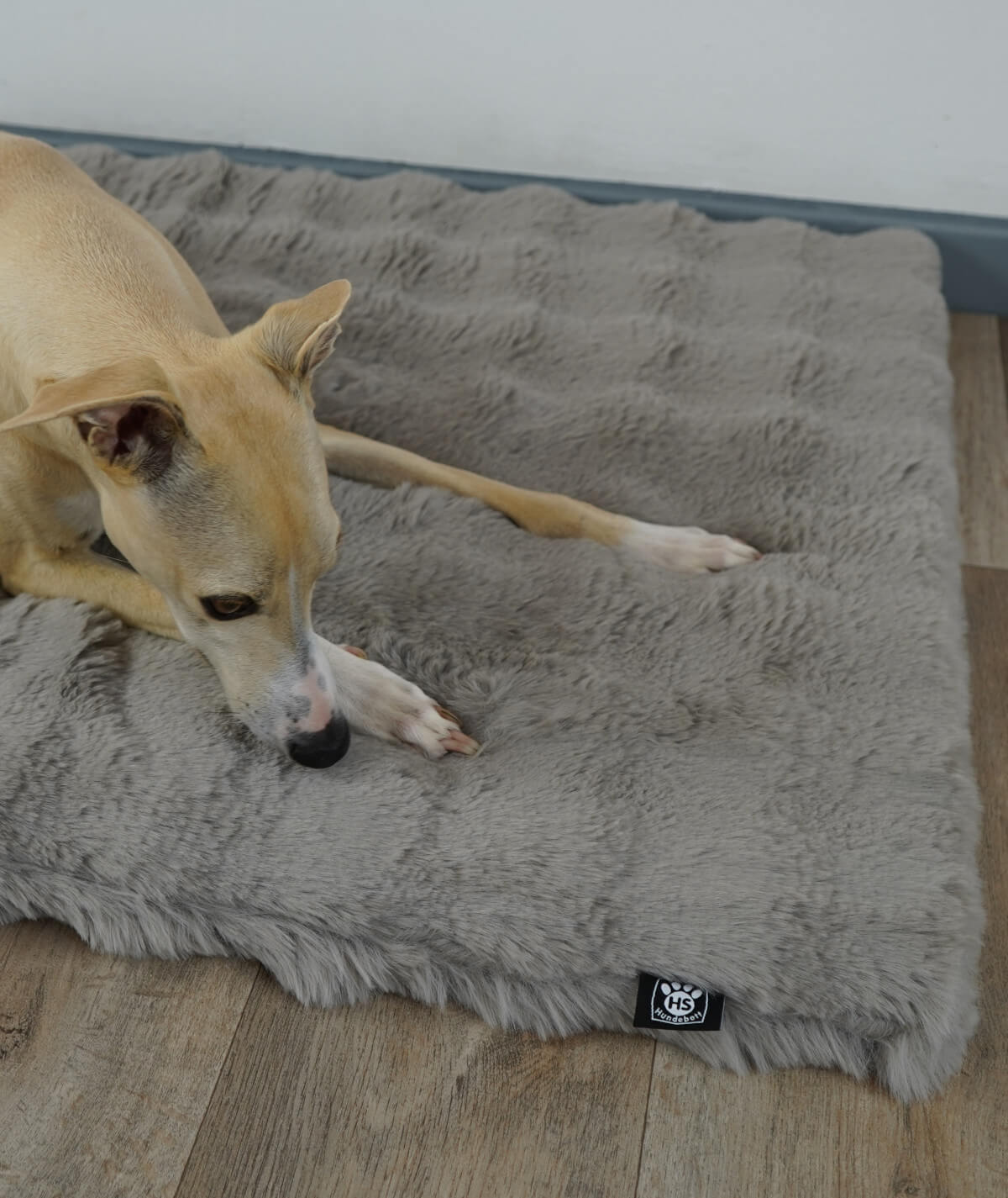 Dog blanket cord with filling