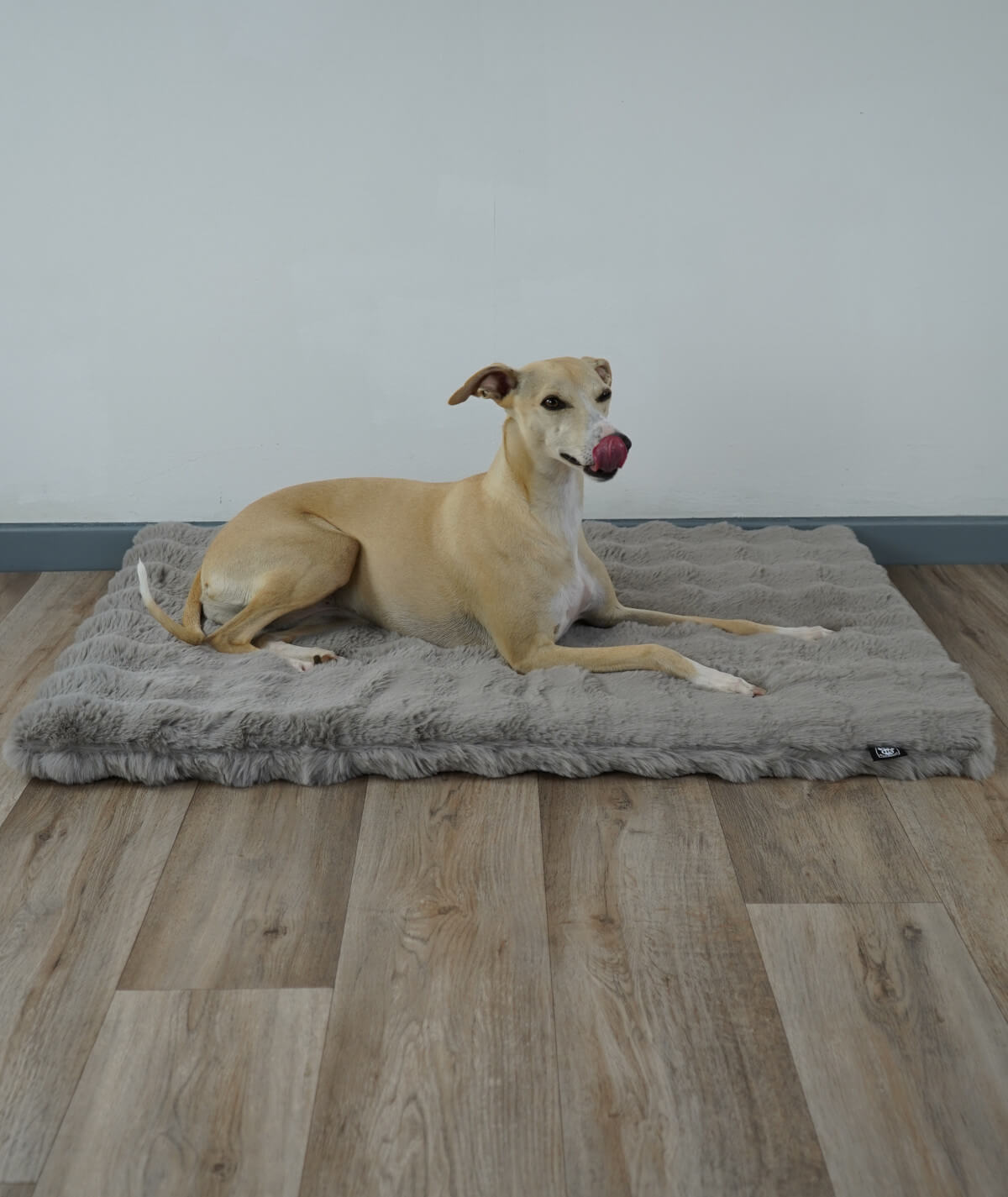 Dog blanket cord with filling
