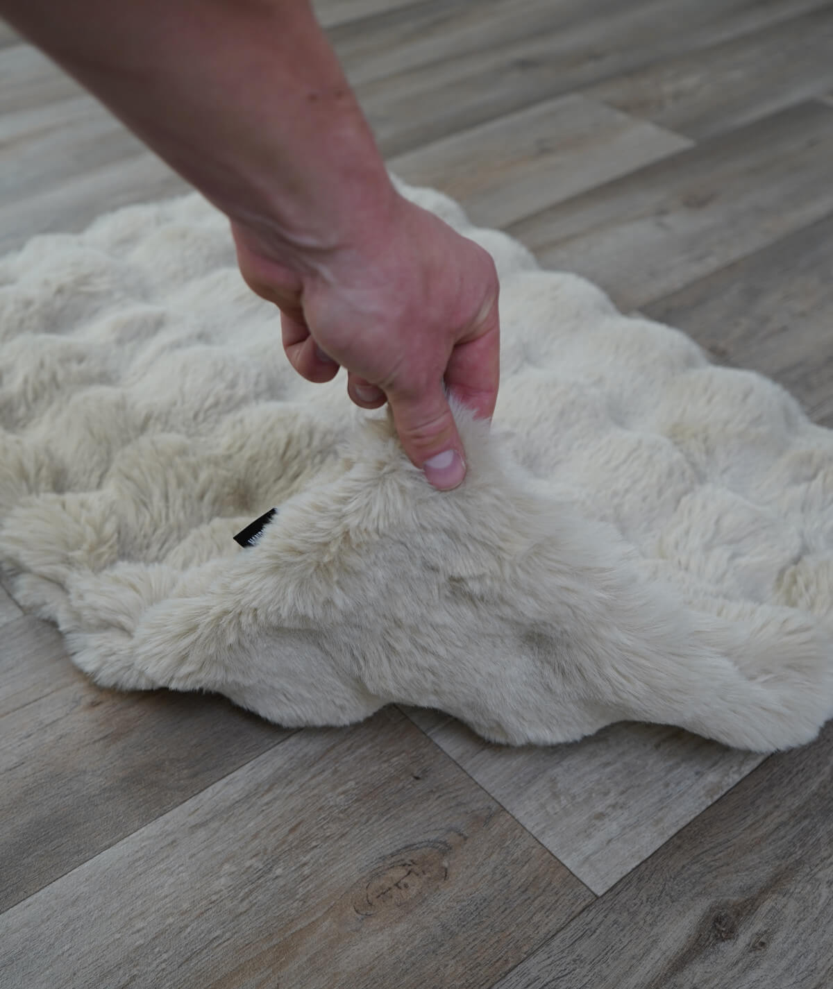 Dog blanket cord with filling