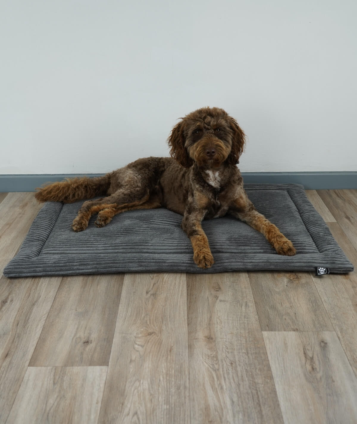 Hundedecke aus Cord mit Antirutsch – robust, weich & waschbar