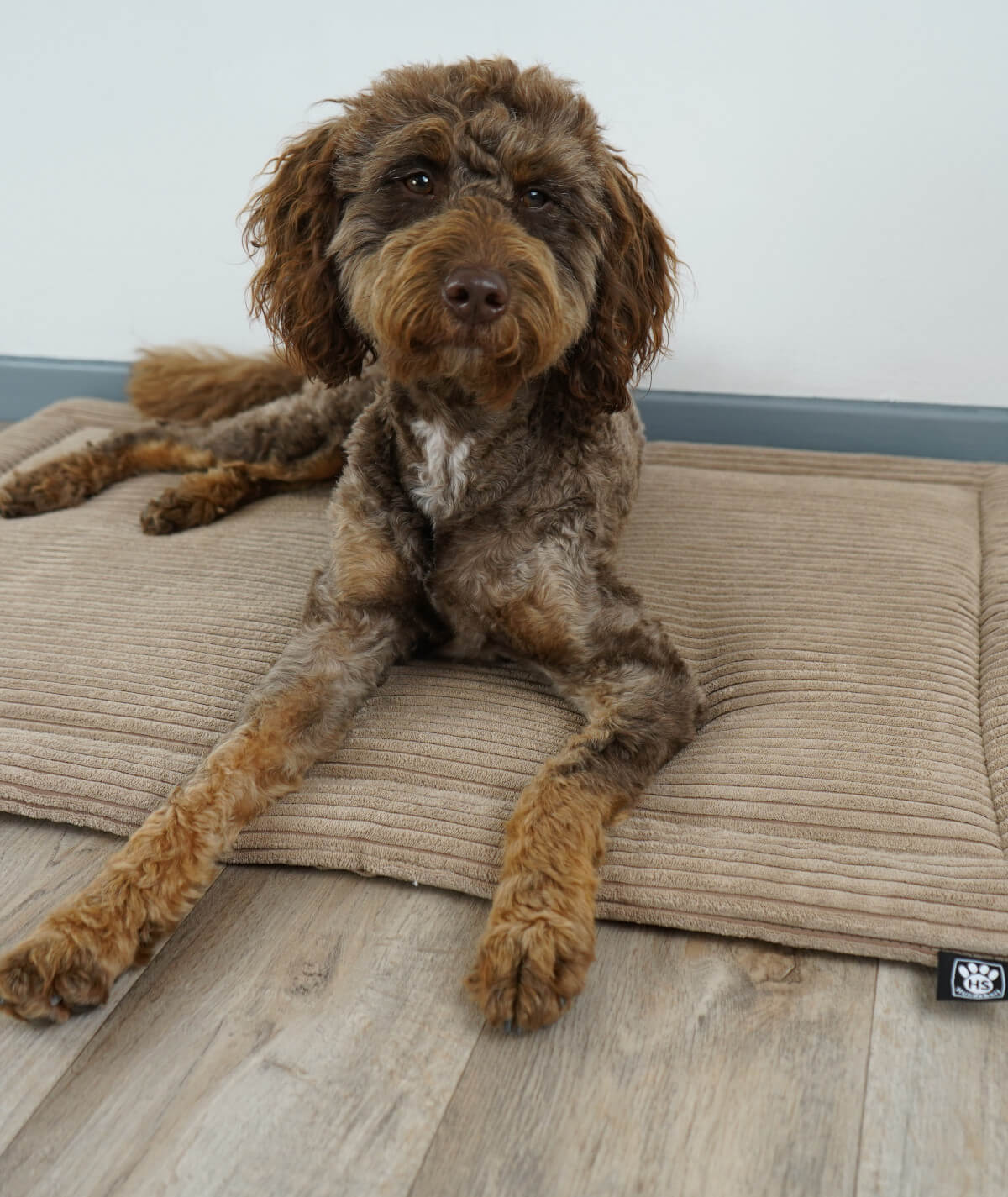 Hondendeken corduroy met antislip en vulling
