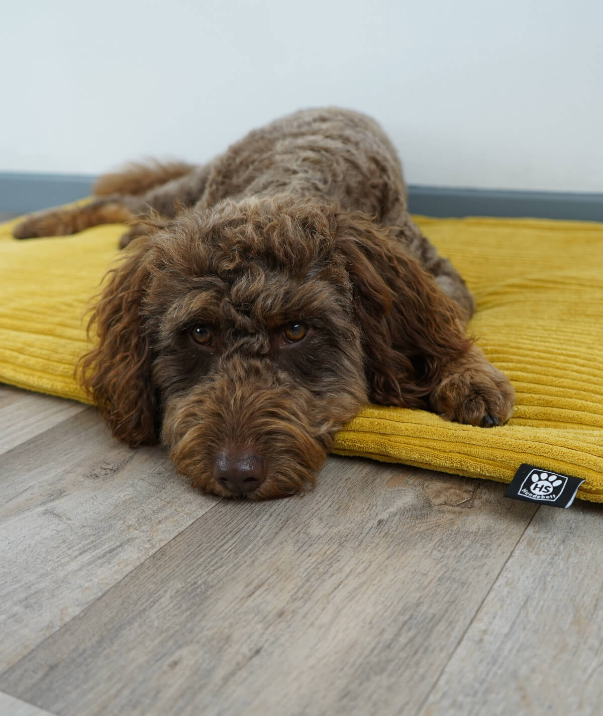 Hondendeken corduroy met antislip en vulling