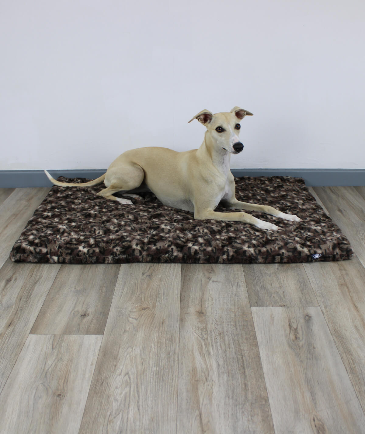 Couverture pour chien exclusive avec antidérapant et rembourrage