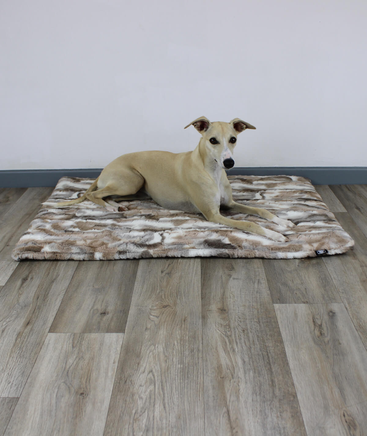 Couverture pour chien exclusive avec antidérapant et rembourrage