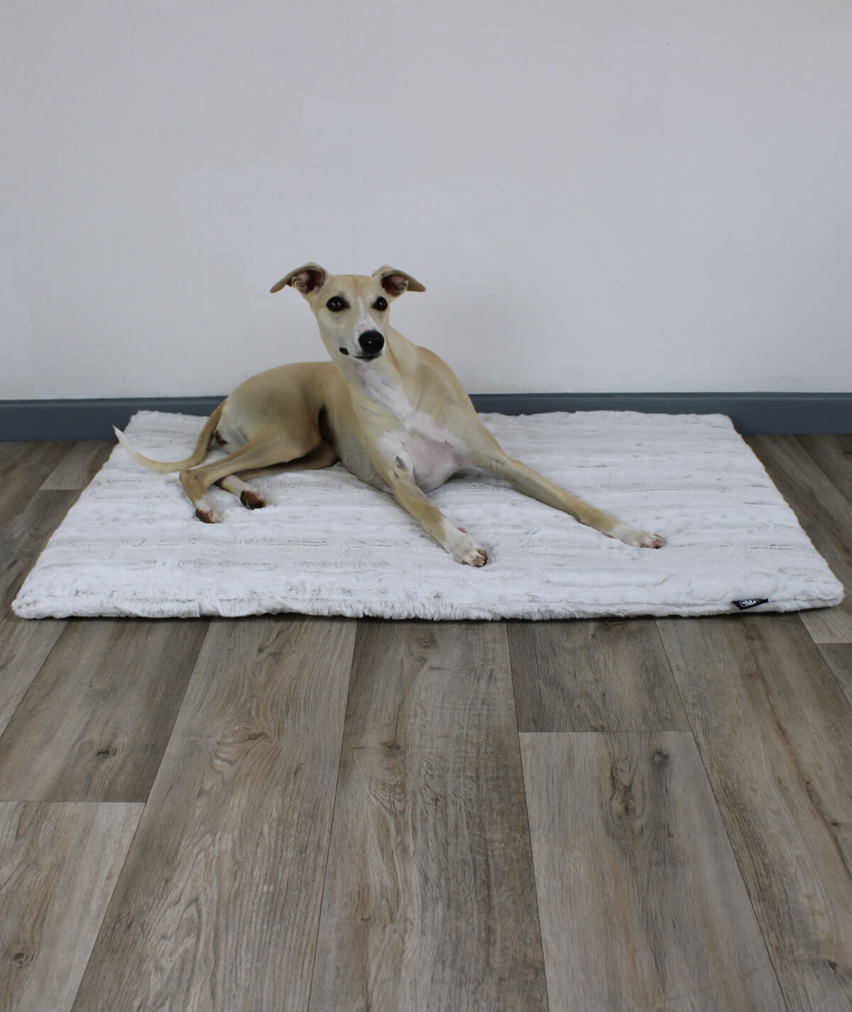 Hundedecke Exklusiv mit Füllung & Struktur – weich, stilvoll & waschbar