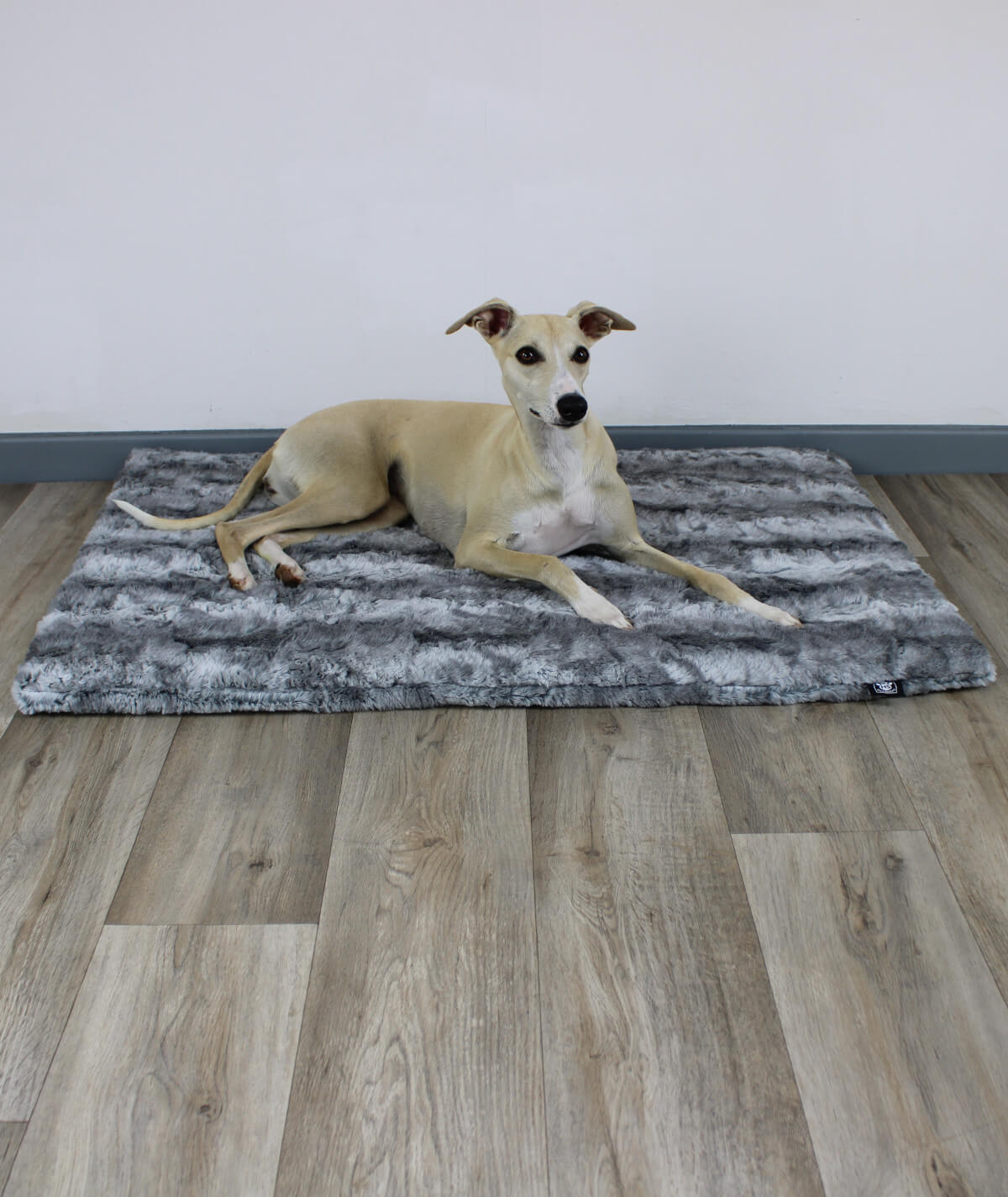 Couverture pour chien exclusive avec antidérapant et rembourrage