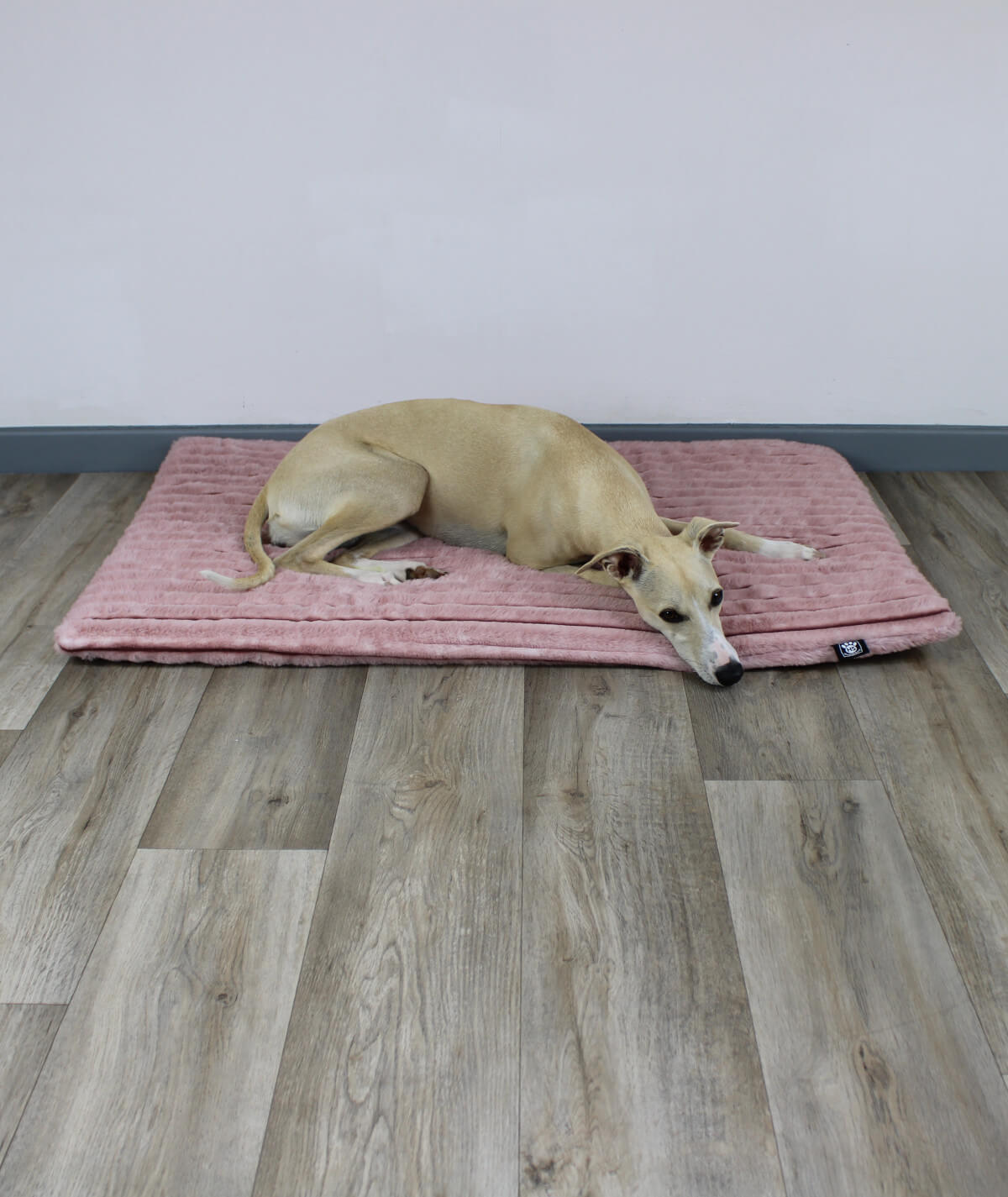 Couverture pour chien exclusive à rayures avec antidérapant et rembourrage