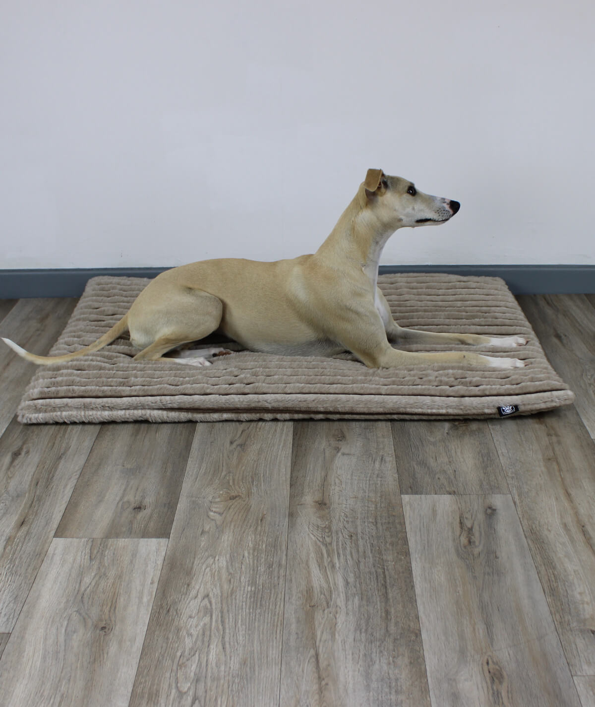 Couverture pour chien exclusive à rayures avec antidérapant et rembourrage