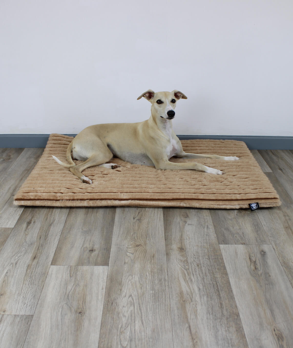 Hundedecke Exklusiv Stripes mit Füllung – weich, stilvoll & waschbar