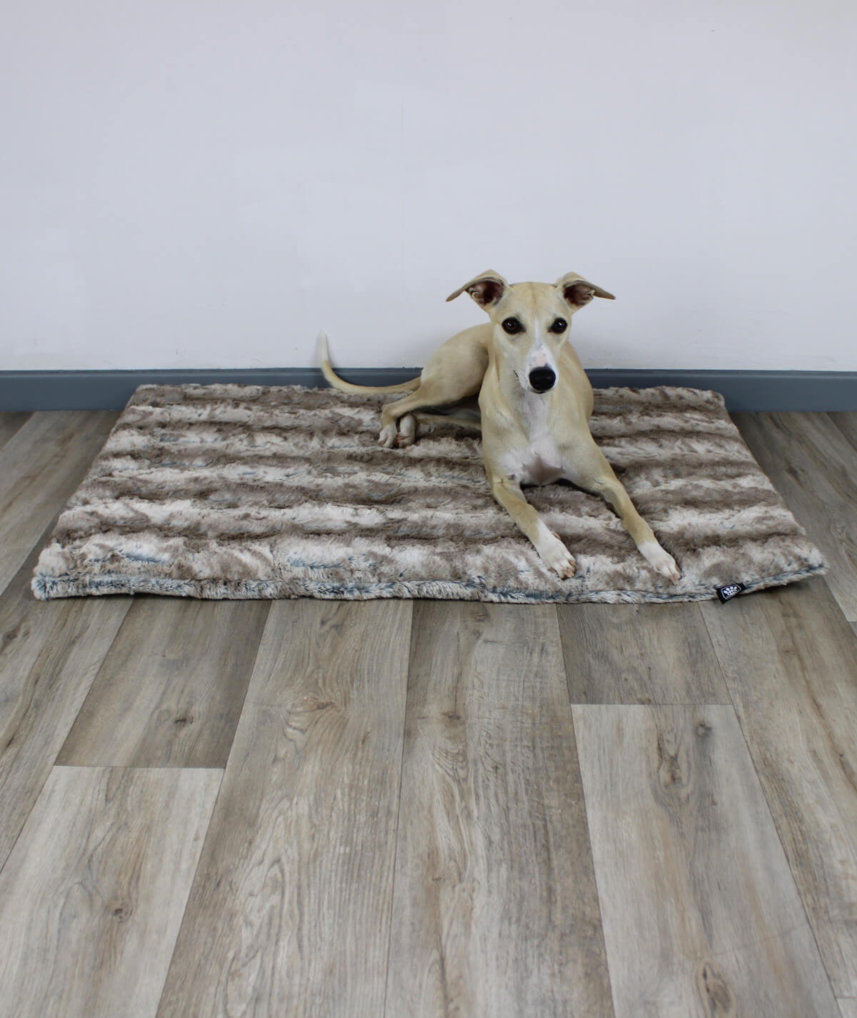 Couverture pour chien exclusive avec antidérapant et rembourrage