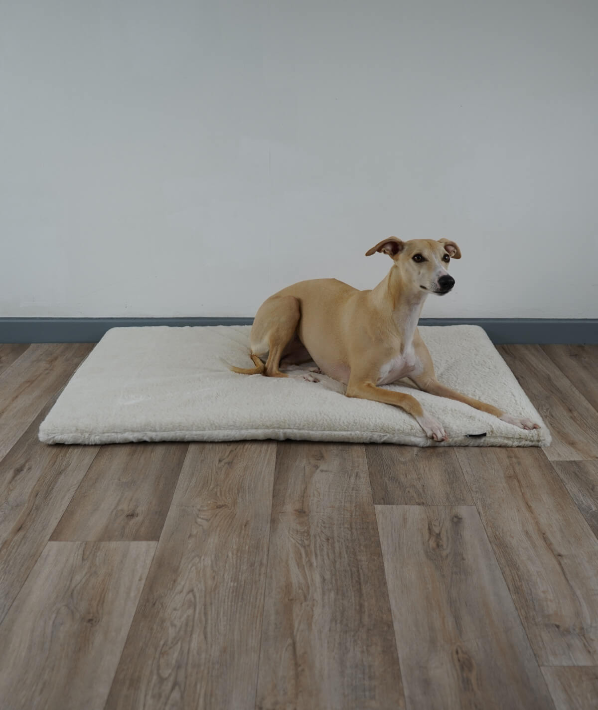 Hondendeken High Exclusive antislip met vulling