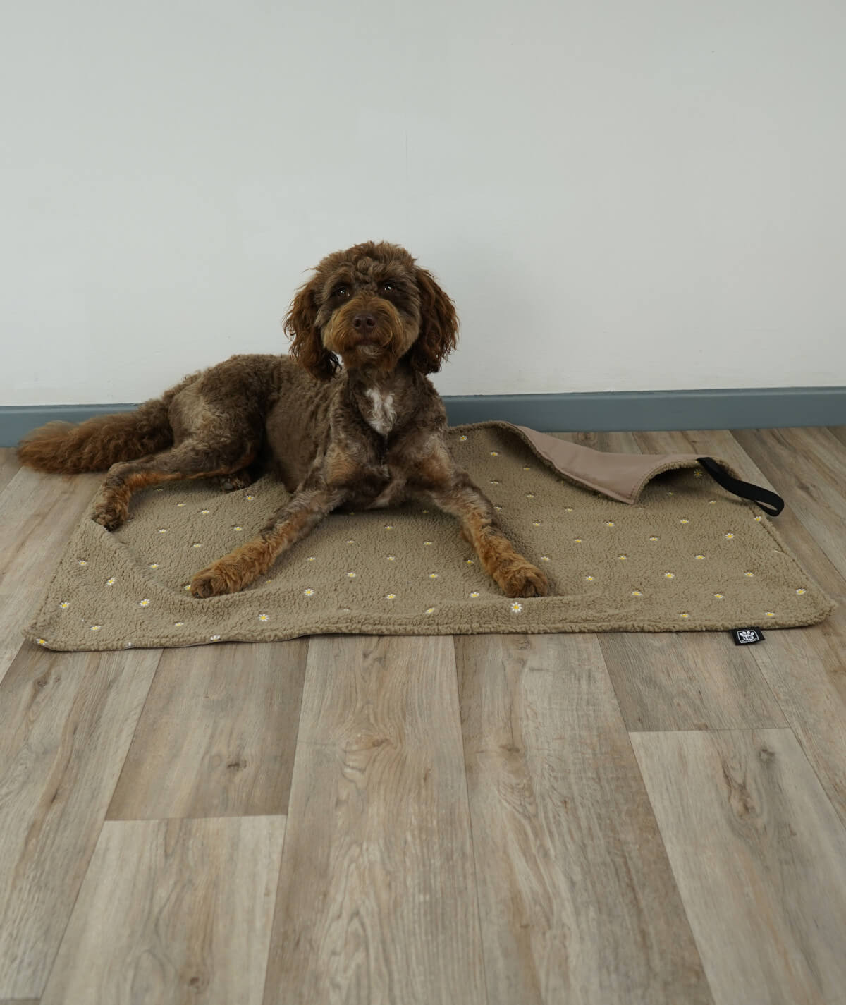Couverture pour chien d'extérieur