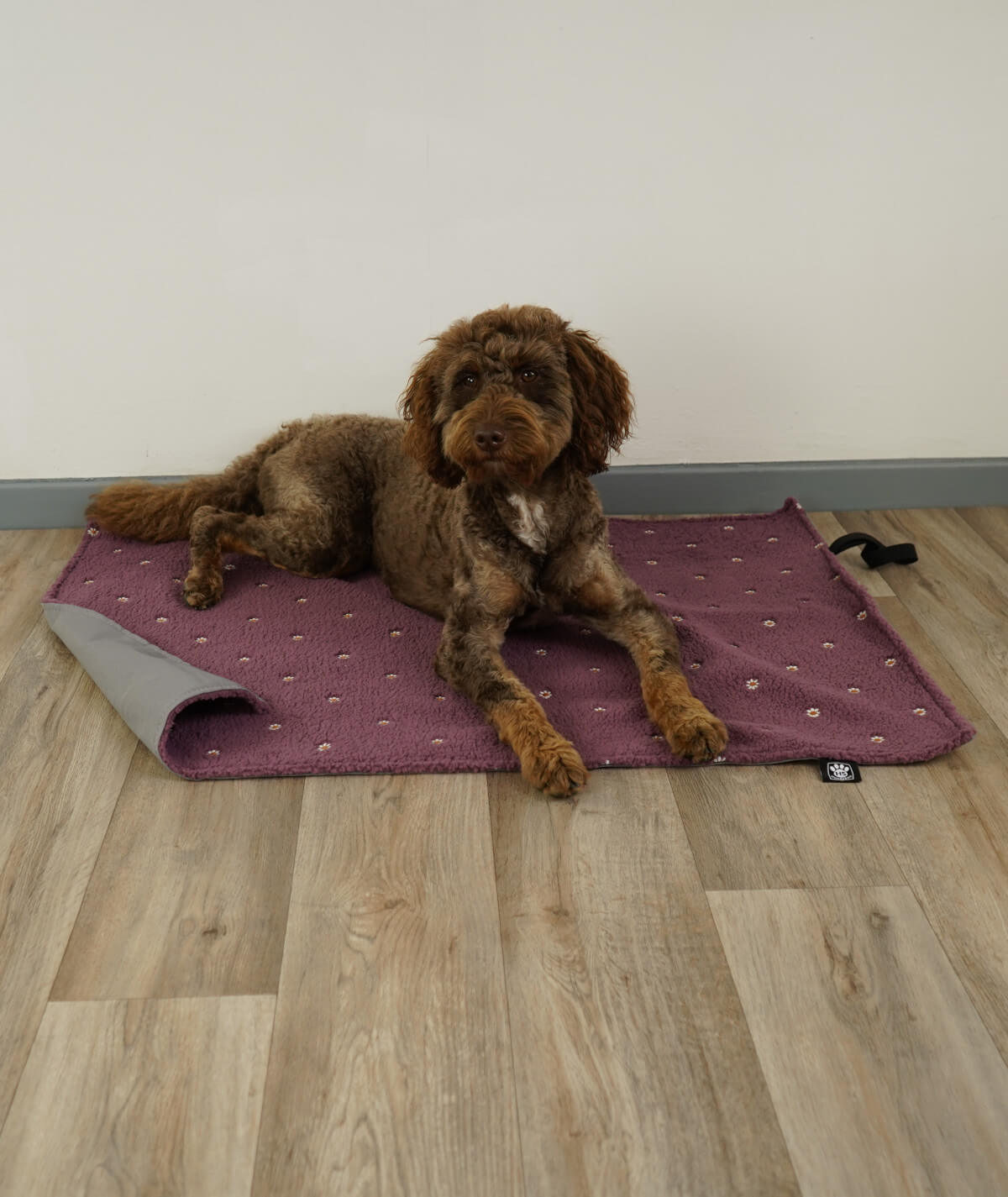 Couverture pour chien d'extérieur