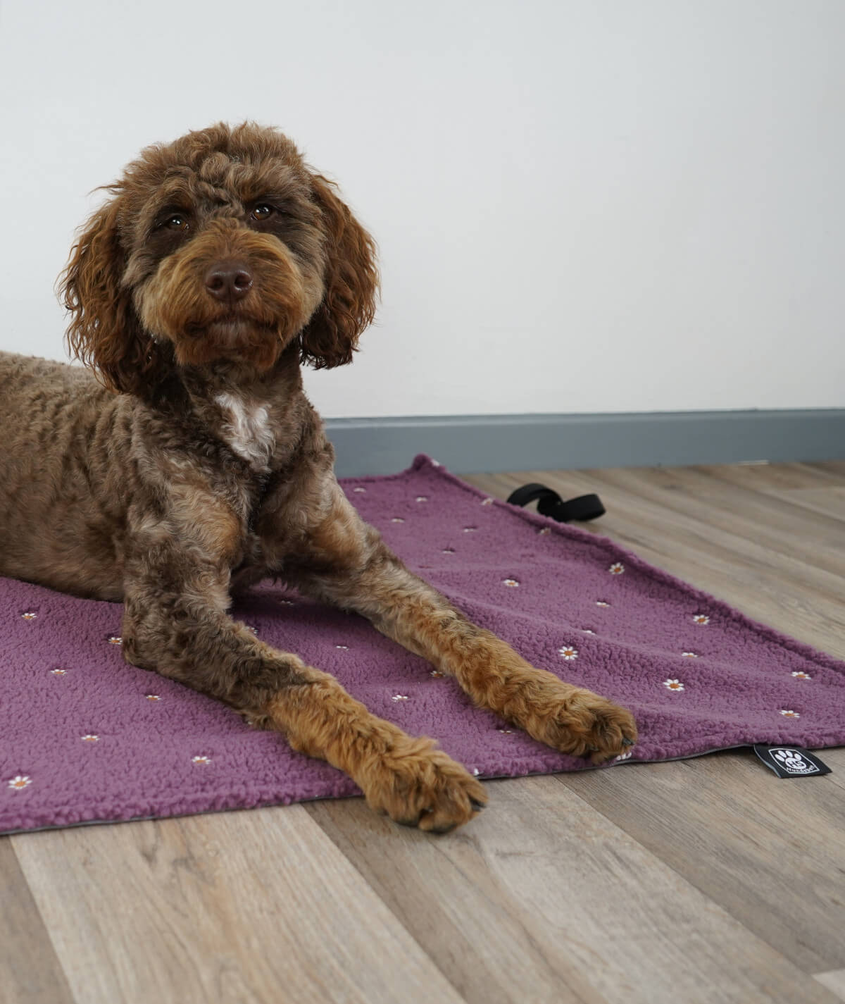 Couverture pour chien d'extérieur