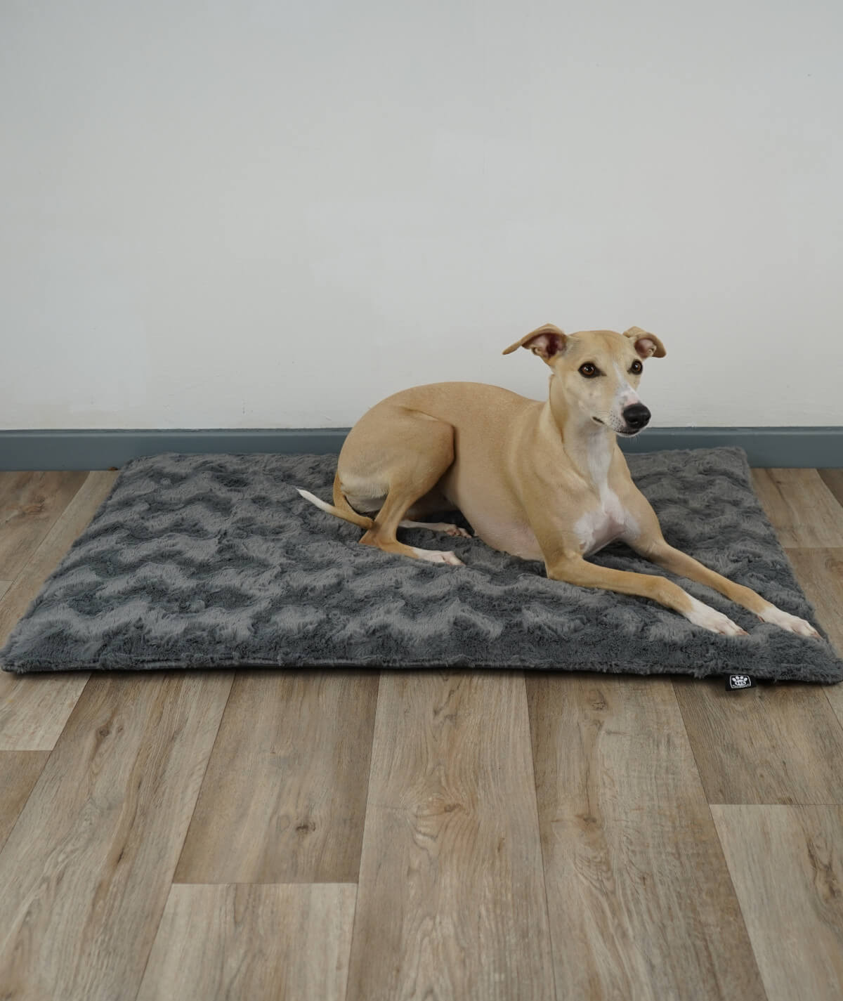 Couverture pour chien d'extérieur