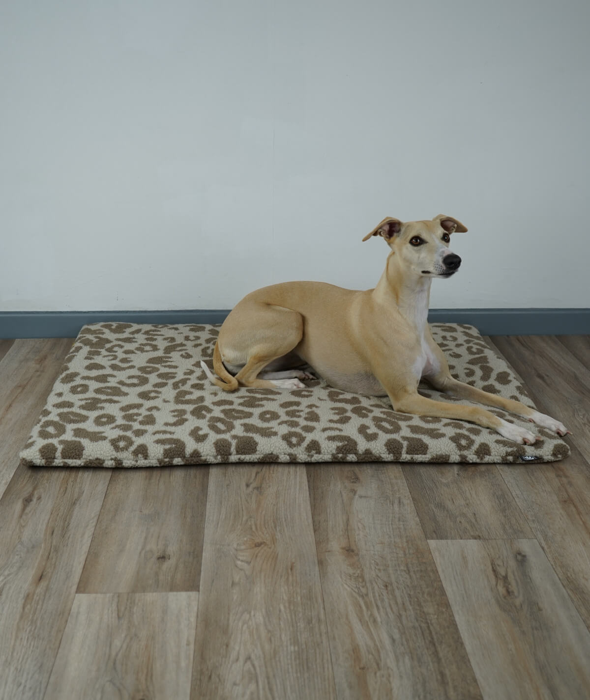 Couverture pour chien en corde avec rembourrage