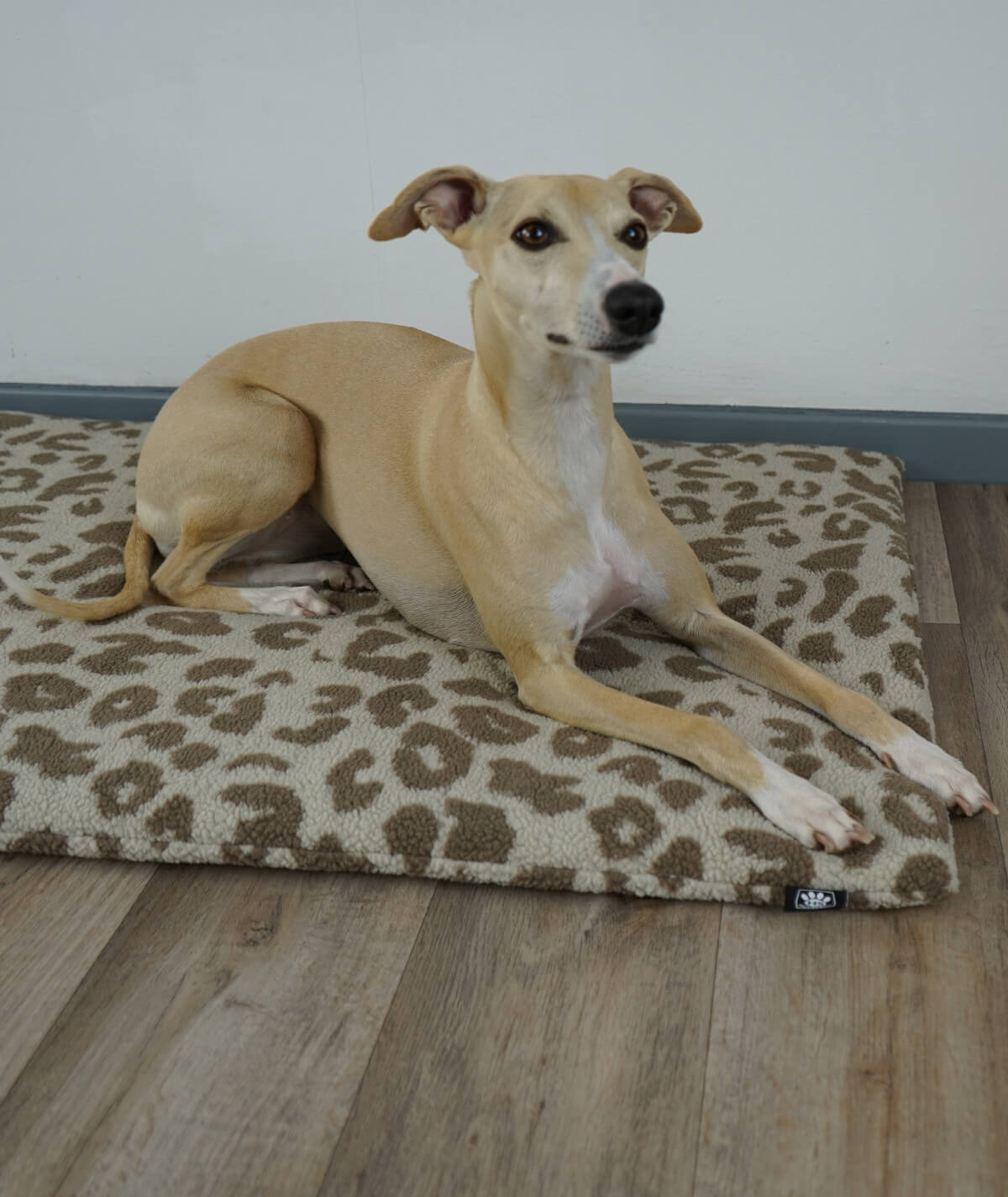 Couverture pour chien en corde avec rembourrage