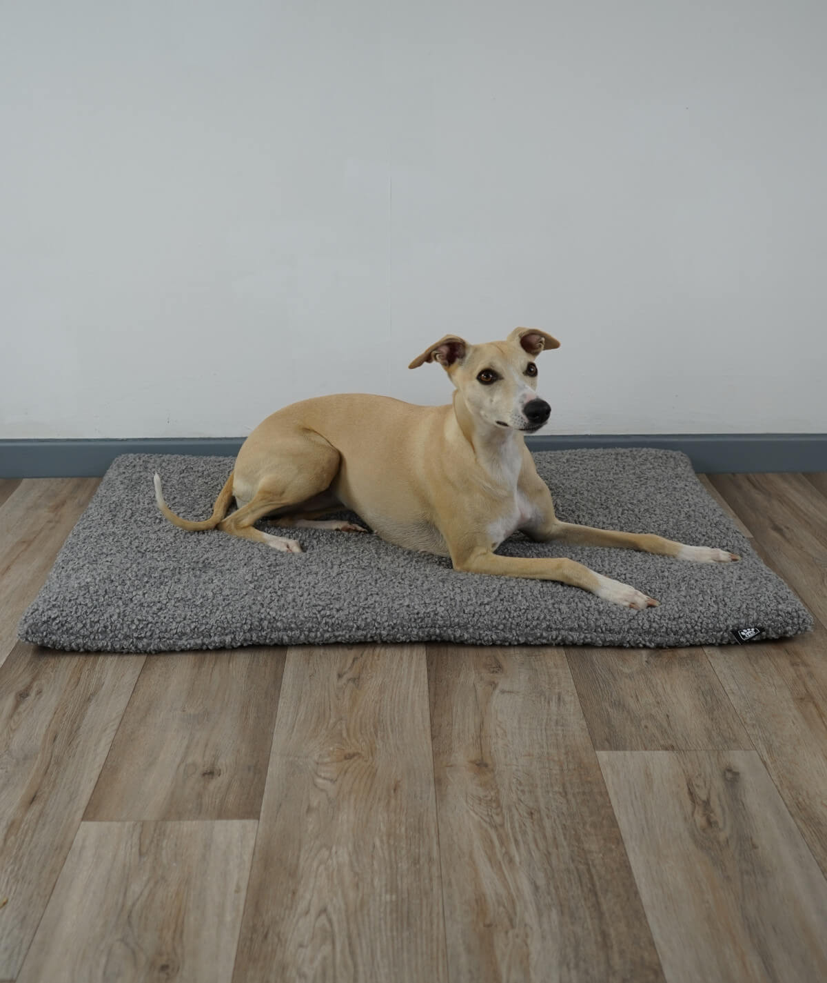 Dog blanket cord with filling