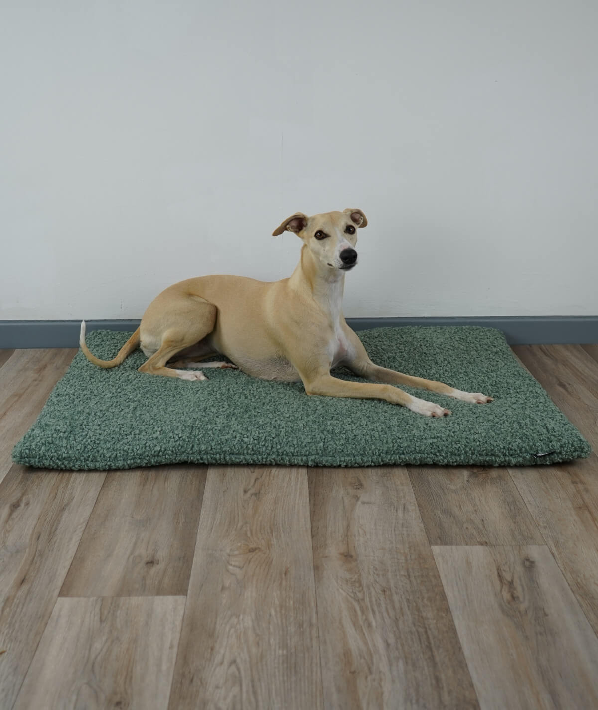 Couverture pour chien en corde avec rembourrage
