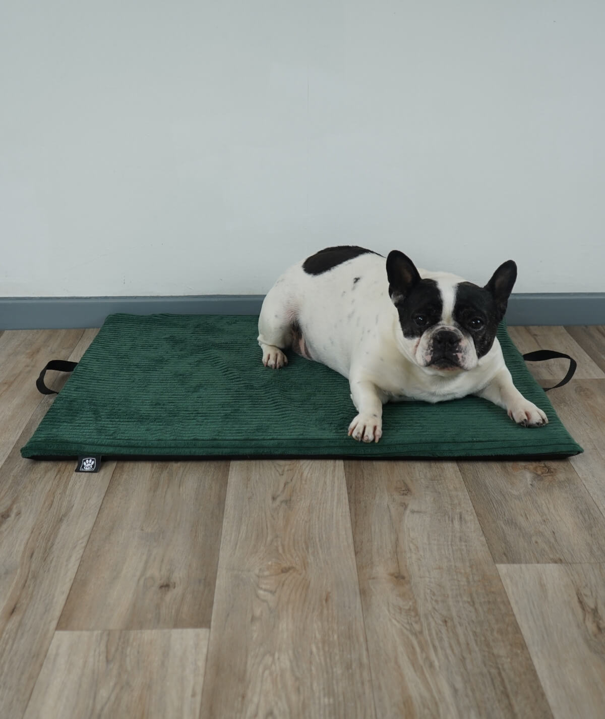 Hundematte In- und Outdoor