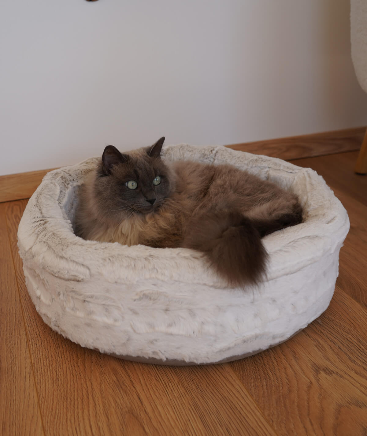 Lit pour chat