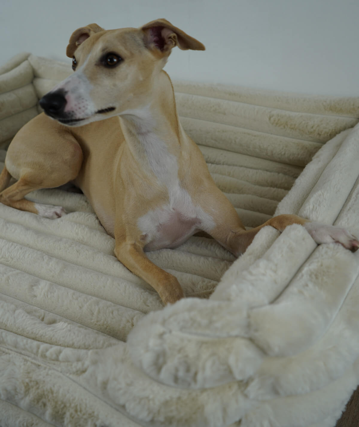 Hundebett Kuschelbett Deluxe High Exklusiv mit Einstieg orthopädisch