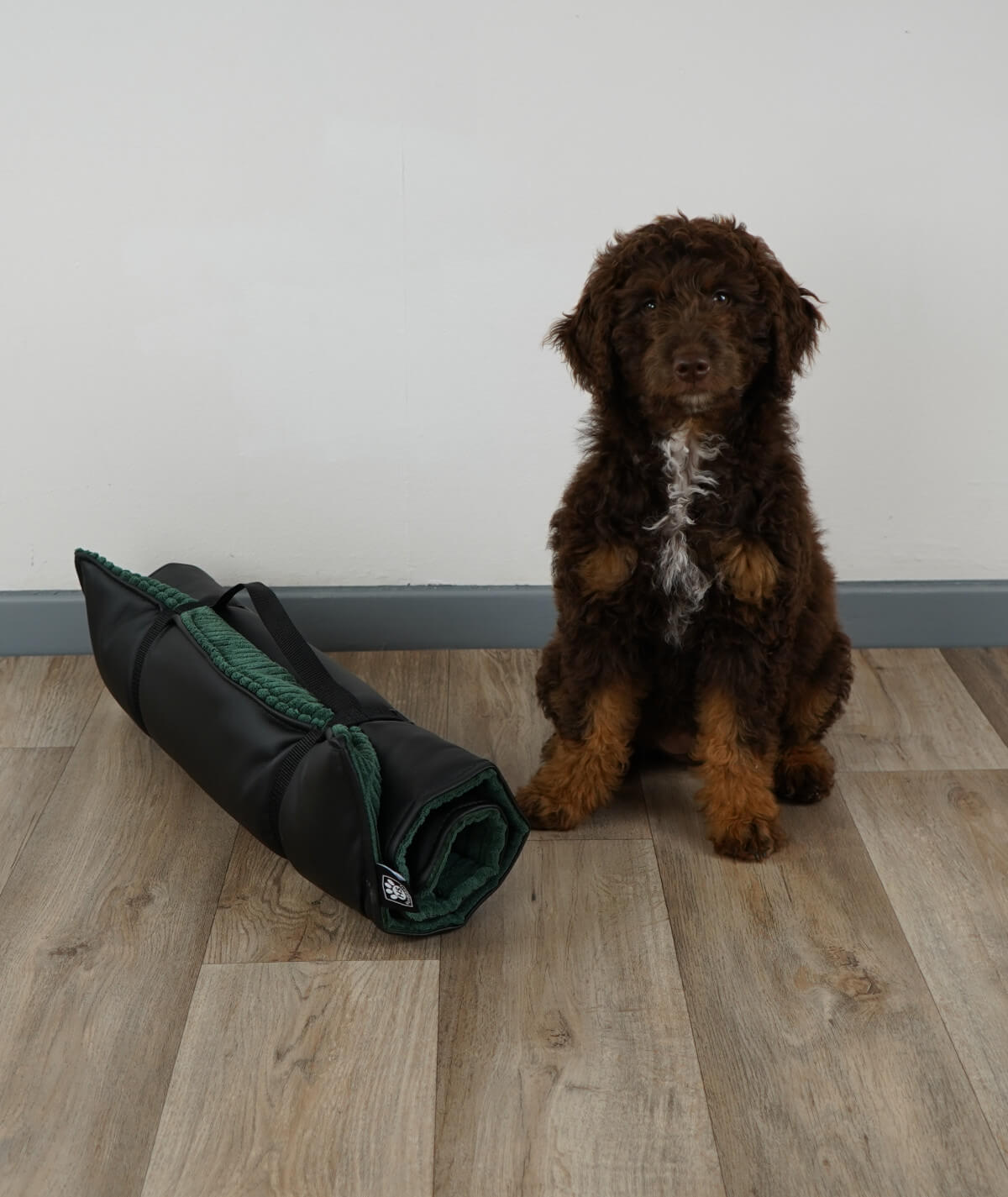 Rollbare Outdoor-Hundedecke für unterwegs
