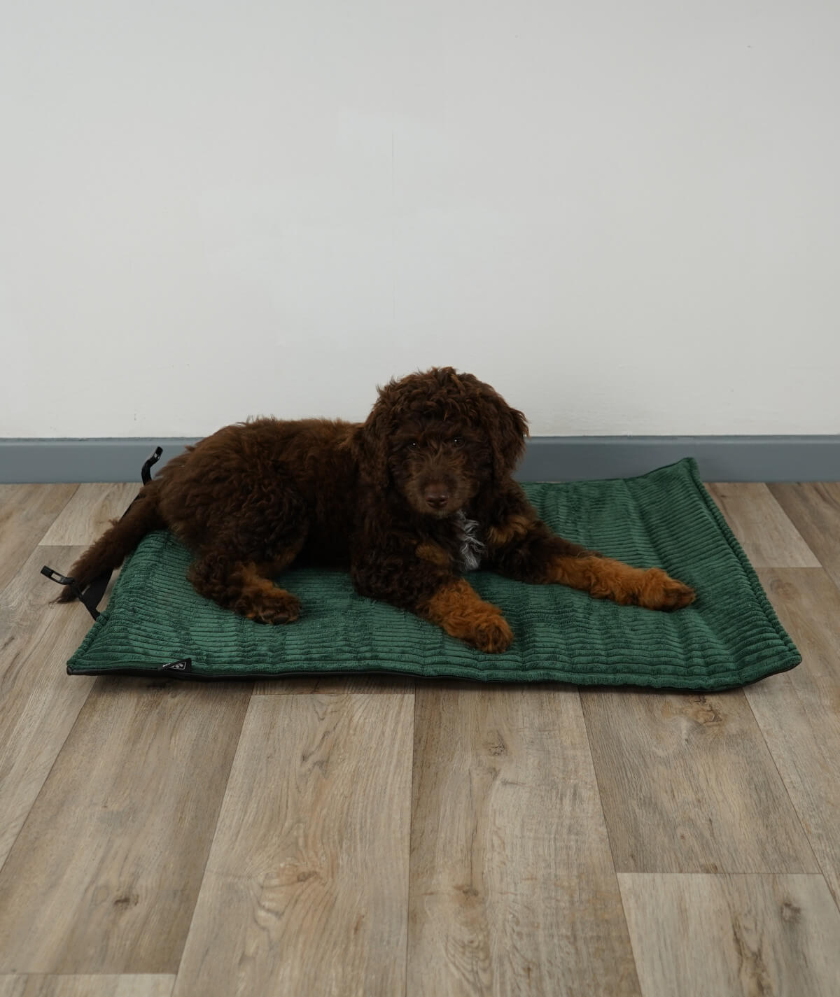 Rollbare Outdoor-Hundedecke für unterwegs