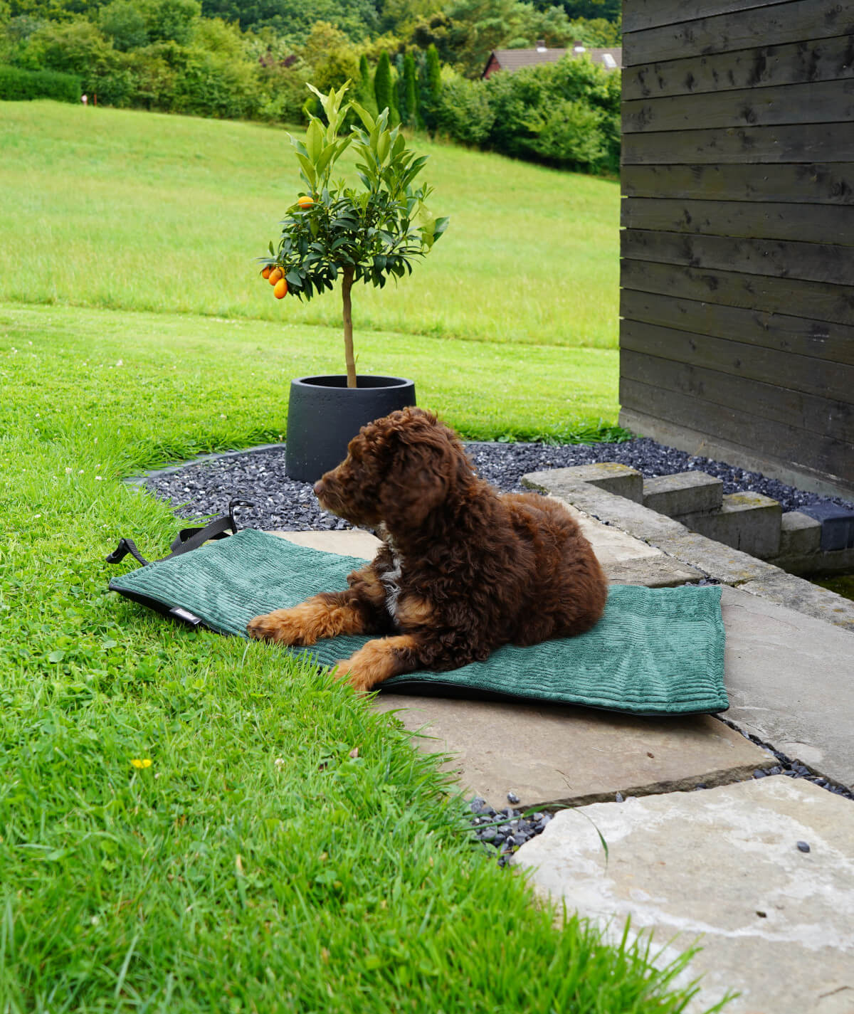 Rollbare Outdoor-Hundedecke für unterwegs