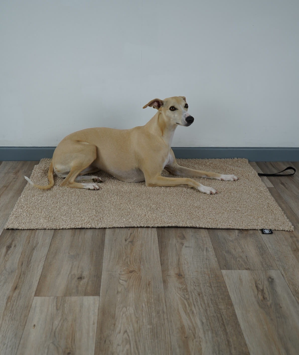 Couverture pour chien d'extérieur