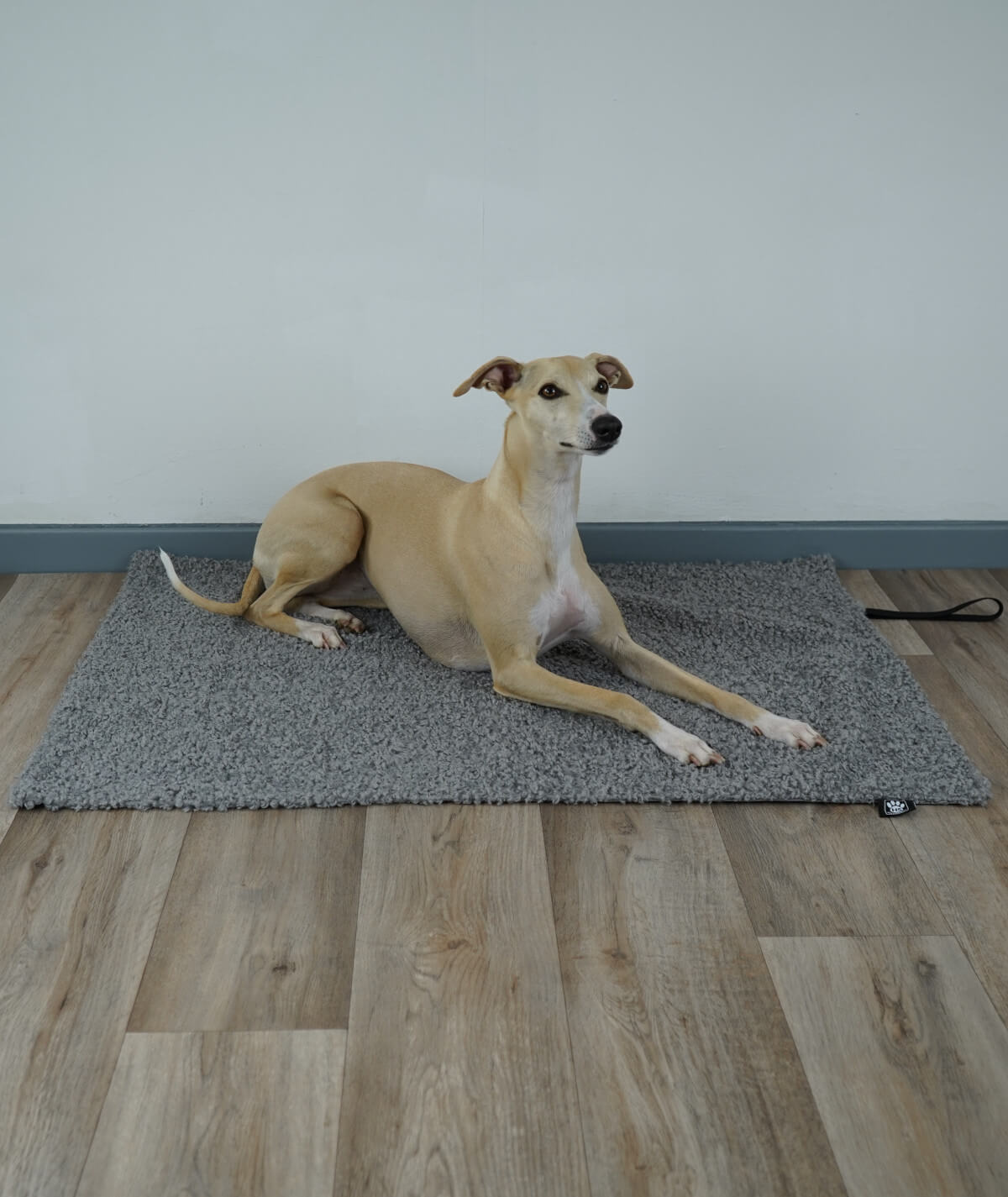 Couverture pour chien d'extérieur